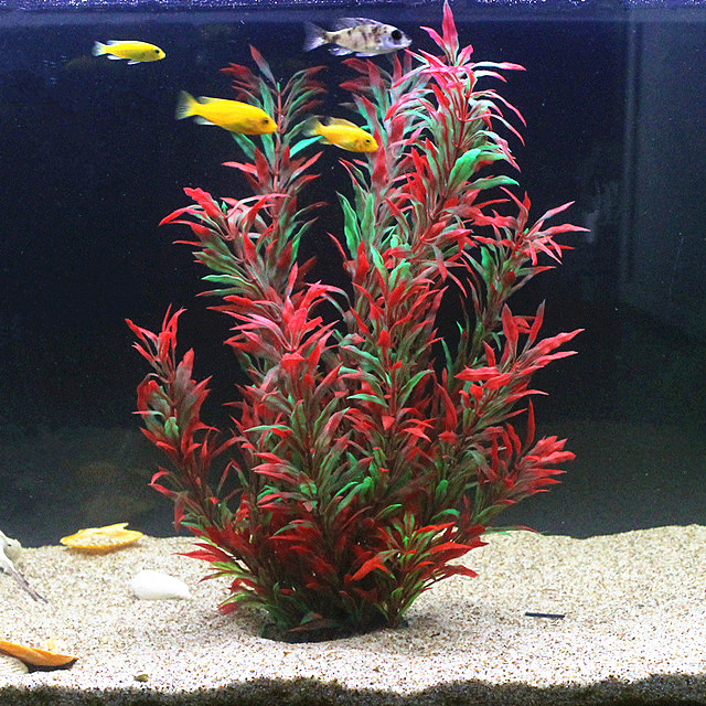50CM Artificial Fish Tank Rare - đánh giá và giá Aquarium Fish Artificial