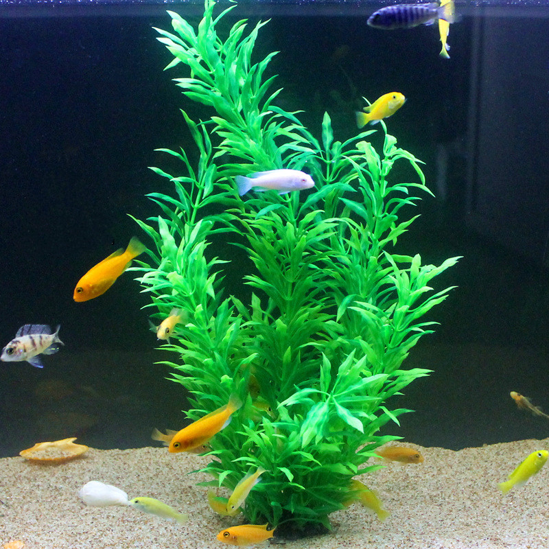 50CM Artificial Fish Tank Rare - đánh giá và giá Aquarium Fish Artificial