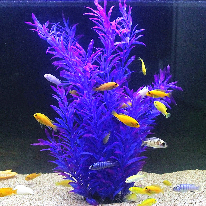 50CM Artificial Fish Tank Rare - đánh giá và giá Aquarium Fish Artificial