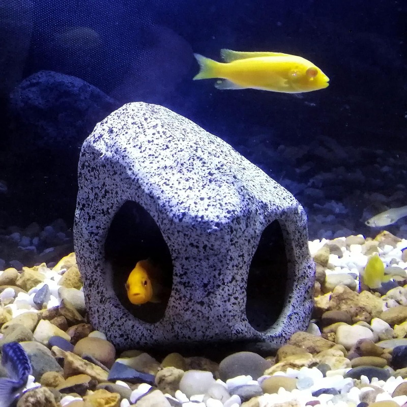 Fish Tank Cave Stone Landscapi - đánh giá và giá Aquarium Fish Cichlid