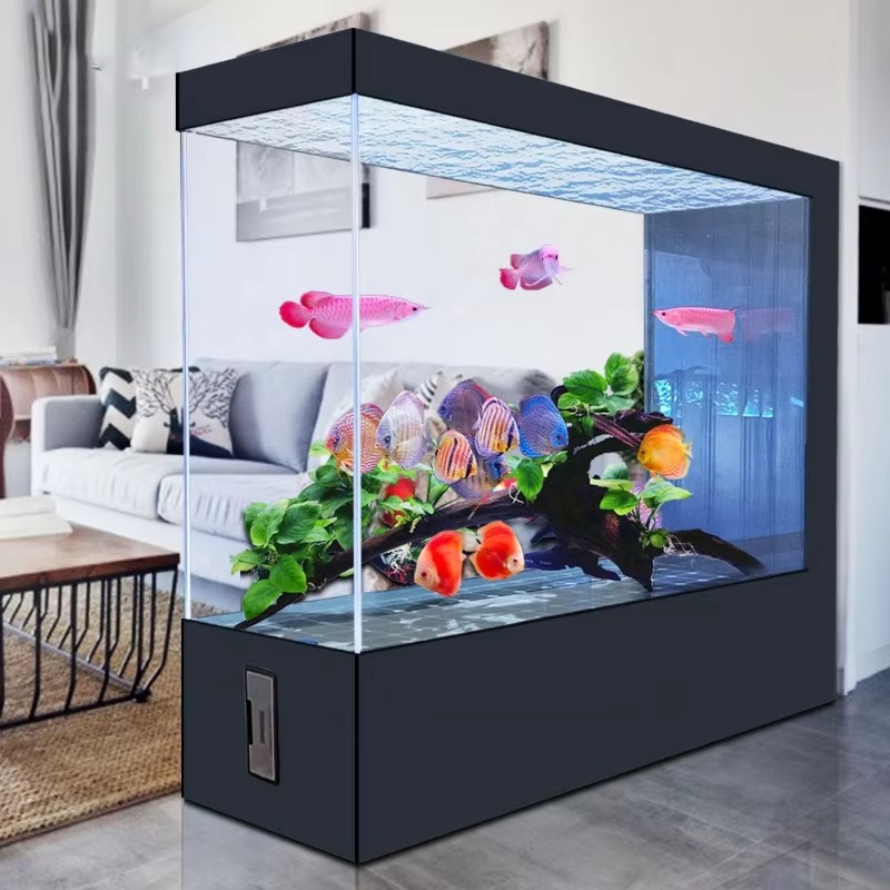 Wholesale Customization Latest - đánh giá và giá Aquarium Fish And Price