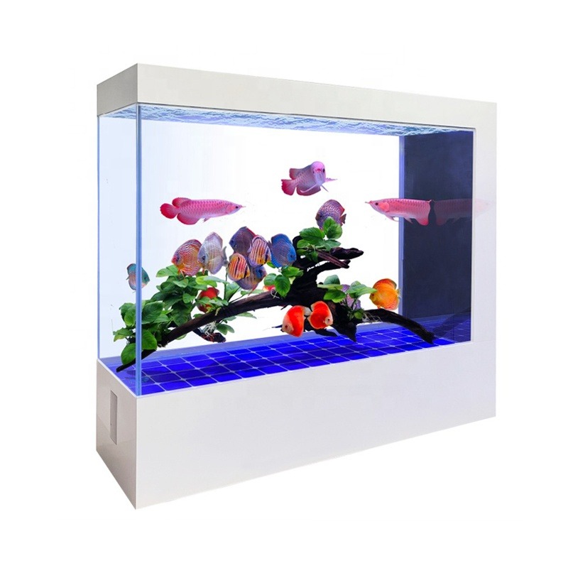 Wholesale Customization Latest - đánh giá và giá Aquarium Fish And Price