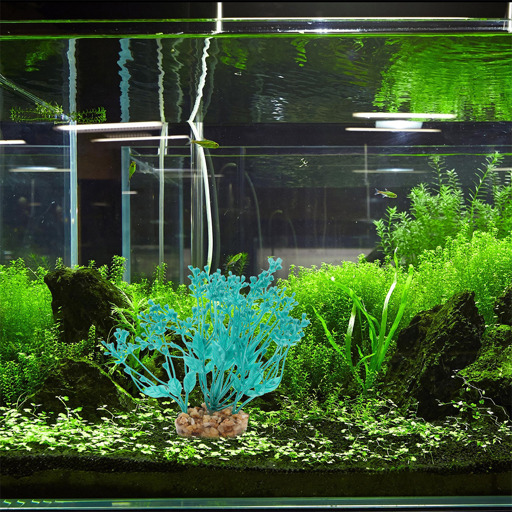 2Pcs Realistic Plastic Aquariu - đánh giá và giá Aquarium Fish Low Maintenance