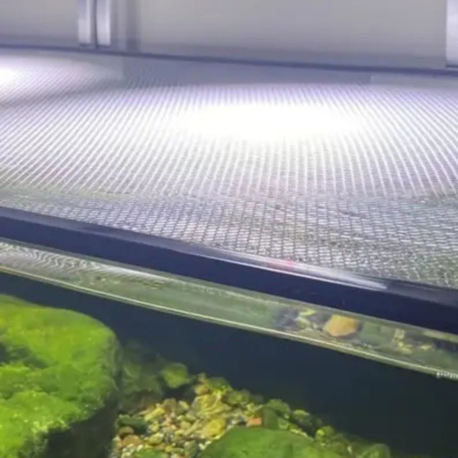 Fish Aquarium Net Cover Quick  - đánh giá và giá Aquarium Fish Net