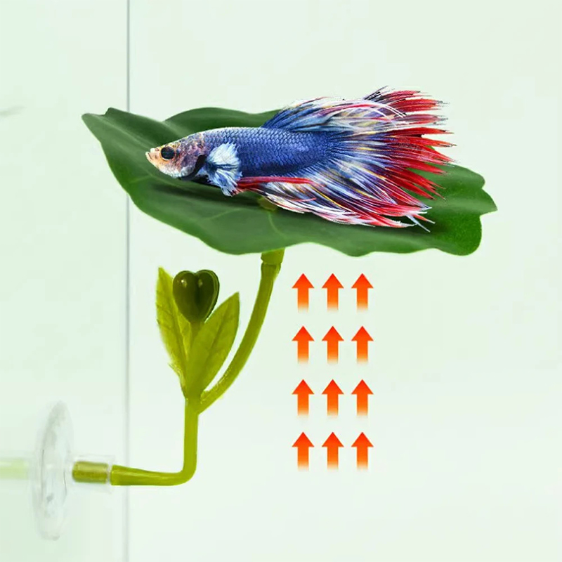 1 Pc For Betta Fish Stress-Red - đánh giá và giá Aquarium Fish Green